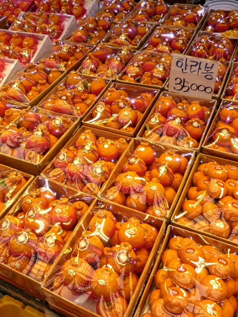 Tangerines in the market - about $40 a box