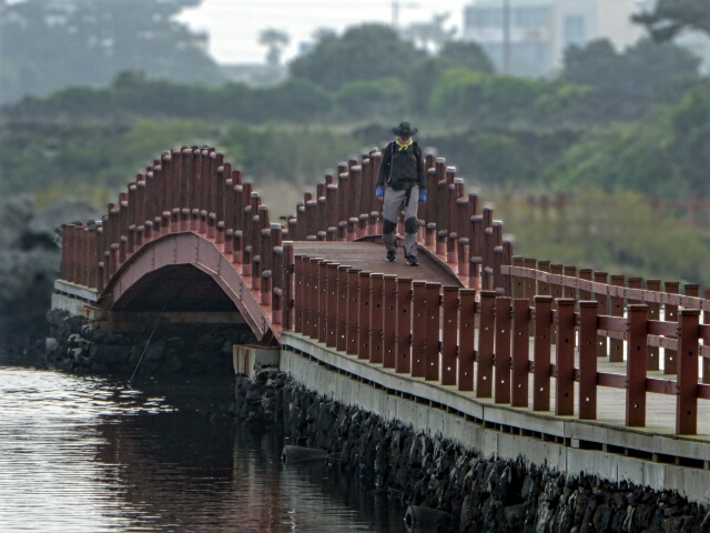 Crossing a bridge in the Wetlands
