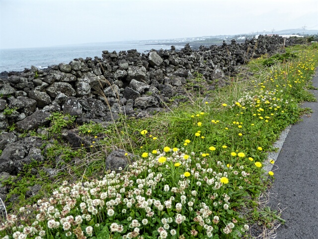 Great Wall of Jeju, 120km long, built in 1270 to deter invaders