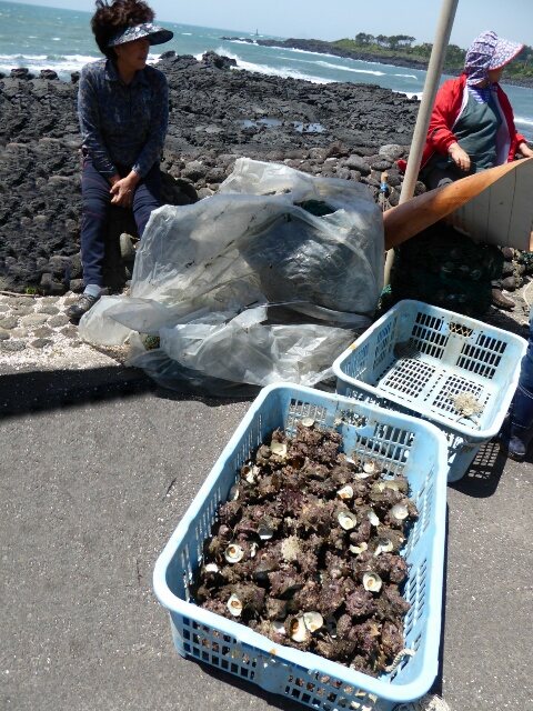 No diving with the wind today so women are selling shellfish by the roadside