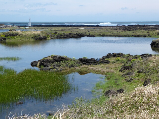 Salt marshes near the start of Route 4