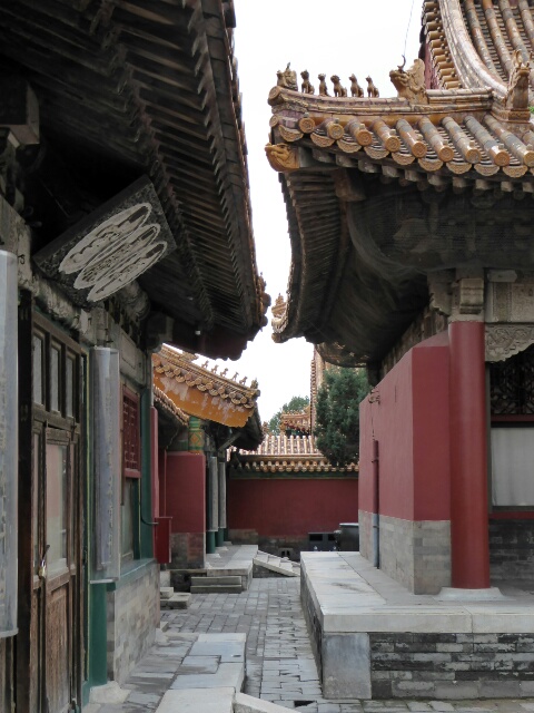 A quiet courtyard in the Forbidden City