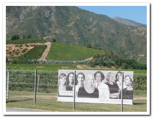 Viña Las Niñas - all female winery in the Colchagua Valley