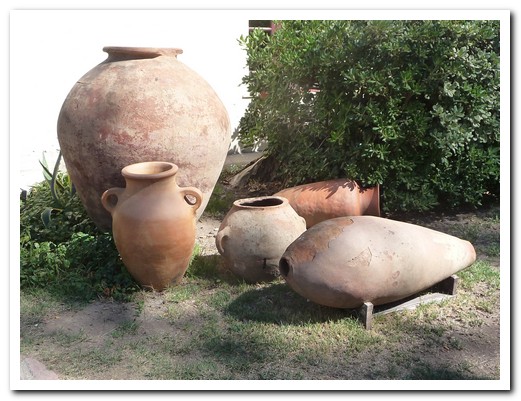 The grape juice was fermented in clay pots buried in the ground