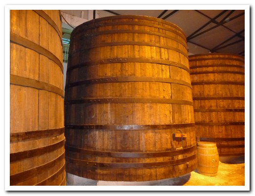 The wine used to be fermented in huge wooden barrels