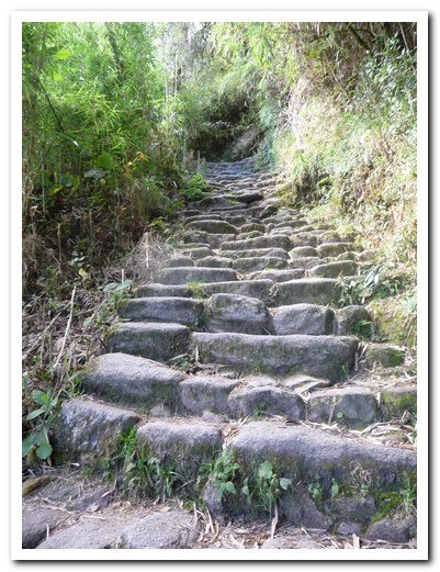 There are thousands of old worn steps on the Inca Trail