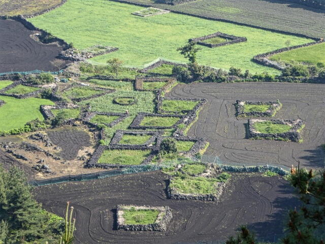 Burial sites protected by strone lava stone walls
