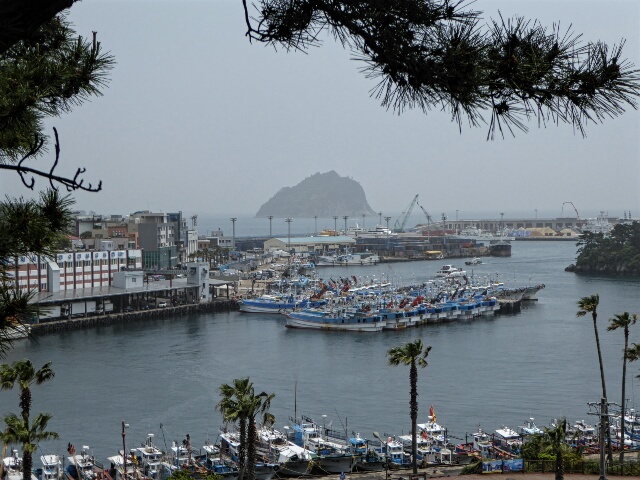 Seogwipo Harbour