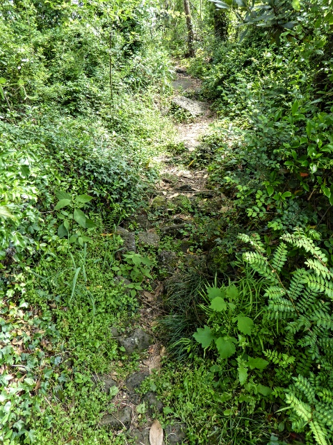 Special Forces remade this 3km trail which had been long abandoned 