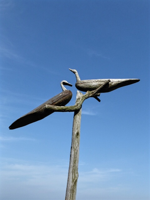 Wooden Seagulls at Hallim Port