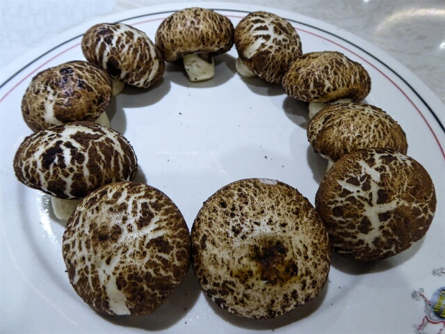 These are not mushrooms - they are steamed pork buns