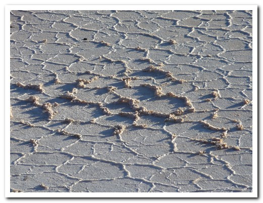 The surface of the salt flats