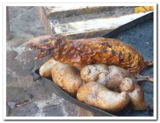 Guinea pig - a real delicacy